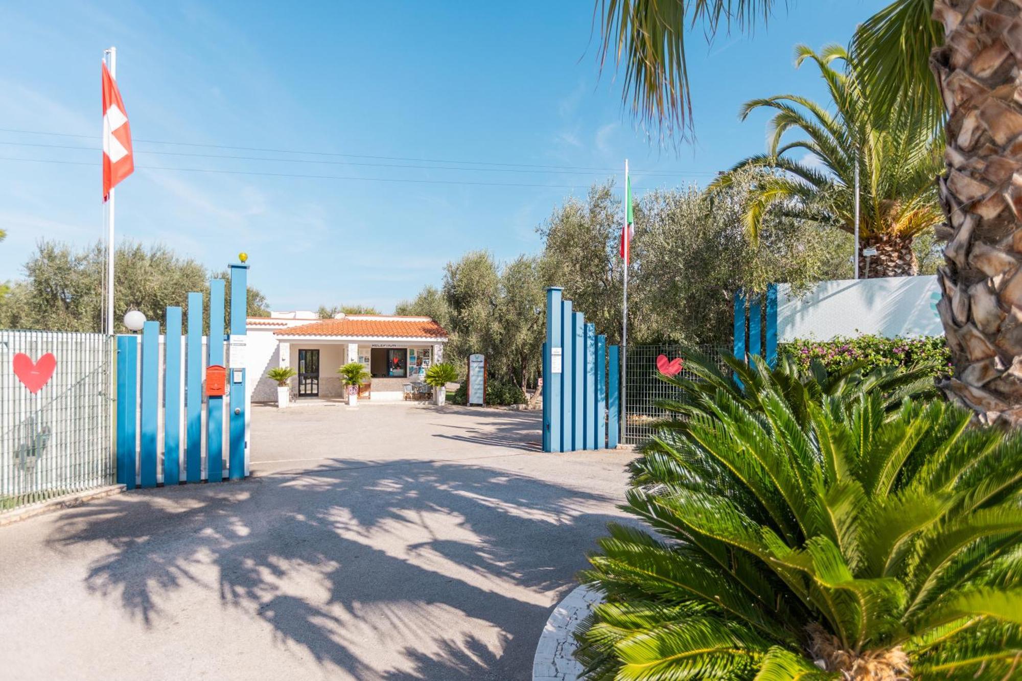 Hotel Palme Gemelle Vieste Bagian luar foto