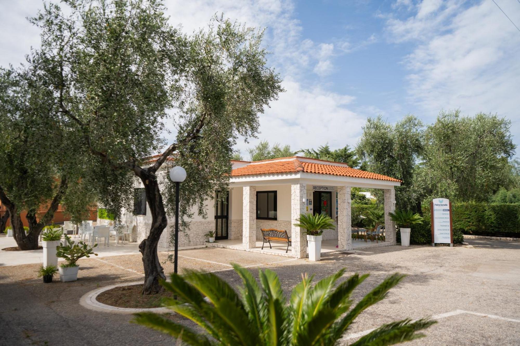 Hotel Palme Gemelle Vieste Bagian luar foto